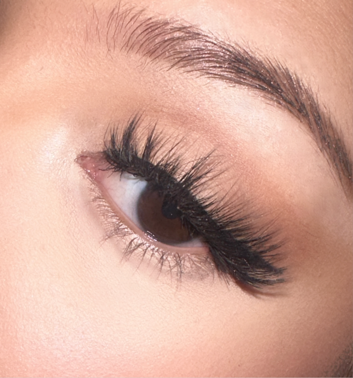 Lashes